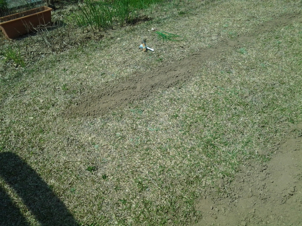 20150429_094136.jpg