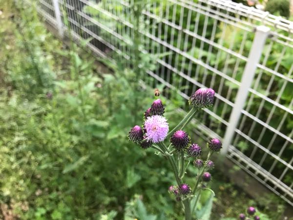 rblog-20180429182251-06.jpg