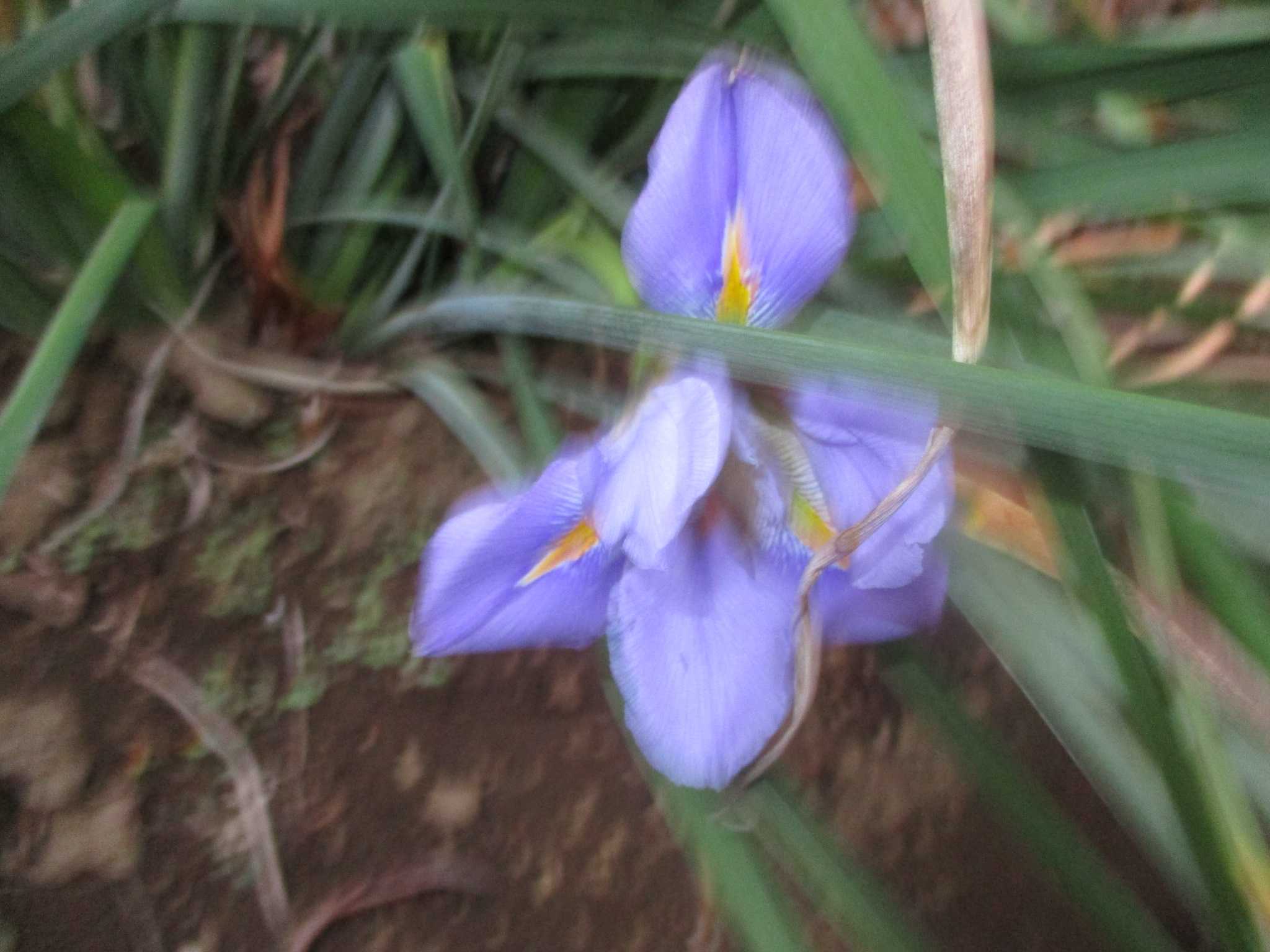 晴　陶　句　読