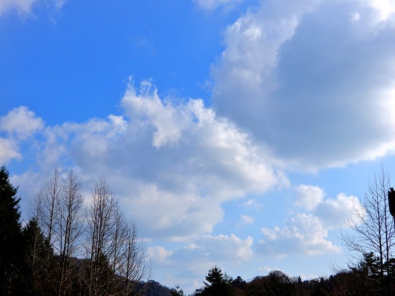 空4
