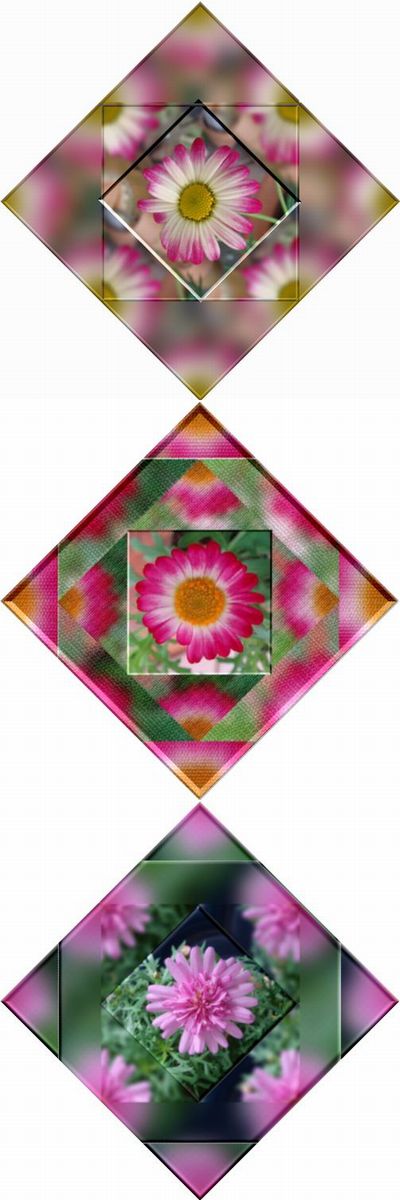 マーガレットのお花