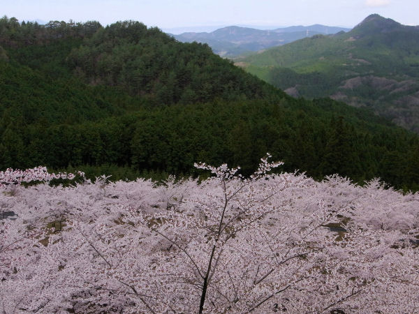 嶽山０３