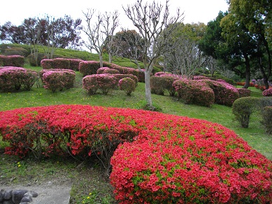 山田池公園　ツツジ