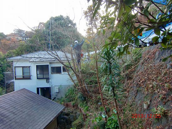 ランチと裏庭の手入れ 017.jpg