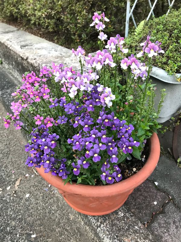 rblog-20180408182714-02.jpg