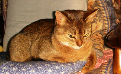 DSC08021.jpg