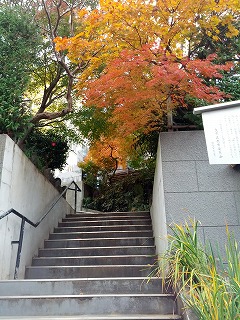 林泉寺.jpg