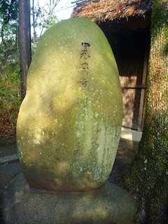 0215芭蕉7
