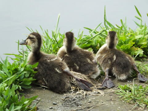 小池公園にて