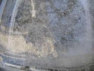 IMG_5086ss.jpg