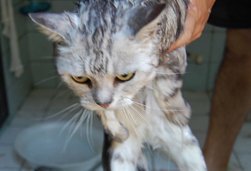 DSC_0526.JPG