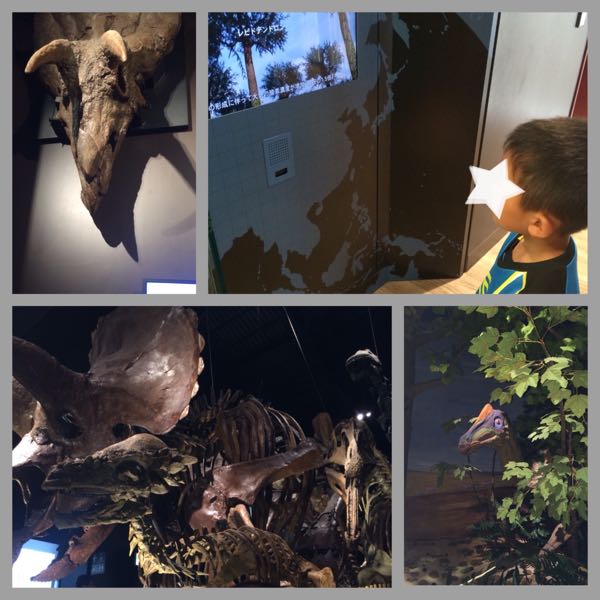 rblog-20150515121115-01.jpg