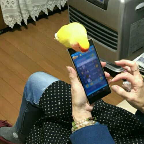 rblog-20180102204838-00.jpg