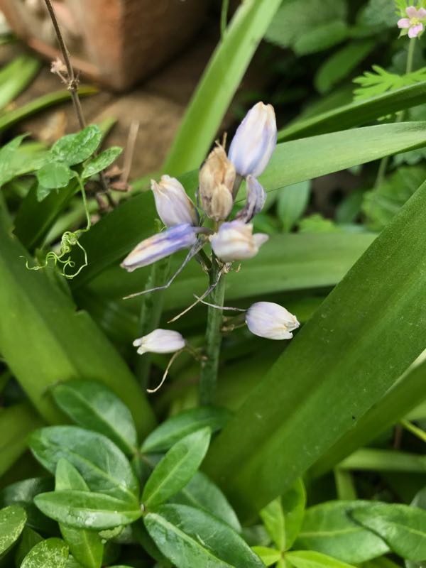 rblog-20180430174711-01.jpg
