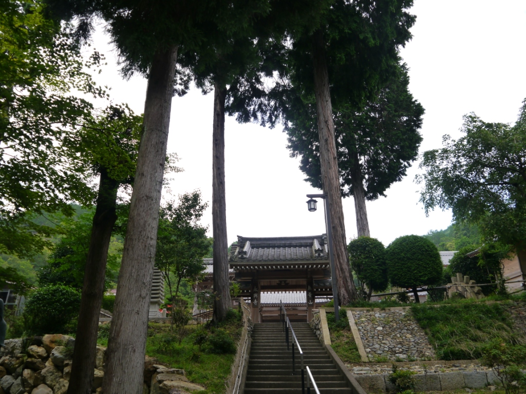 P1080323.JPG