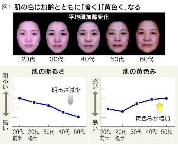 40代の階段上る ひまわり5731のブログ 楽天ブログ