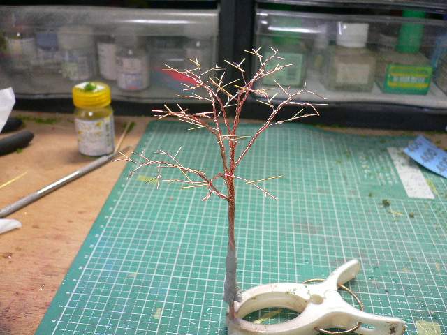P1040009.jpg