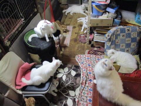 16a0816.jpg