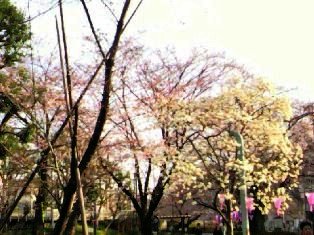 2012040507040000.jpg