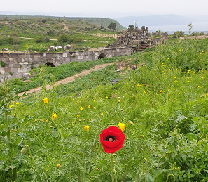 3ページ目の記事一覧 Amalのヨルダン旅行会社 起業日記 楽天ブログ