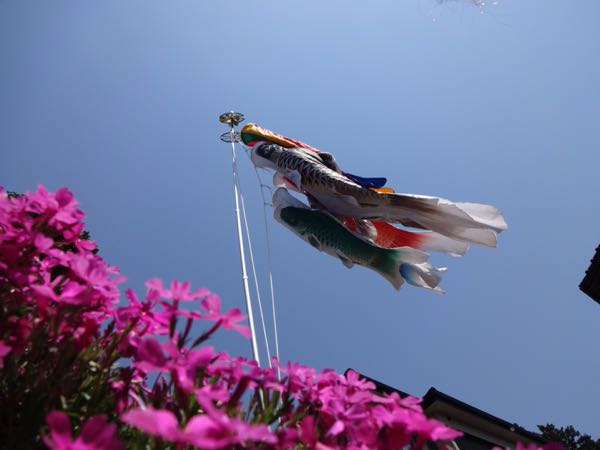 rblog-20150423223642-01.jpg