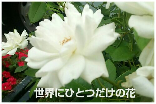 rblog-20160724111040-00.jpg