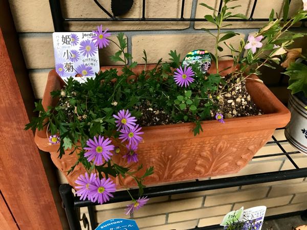 rblog-20181203161249-09.jpg
