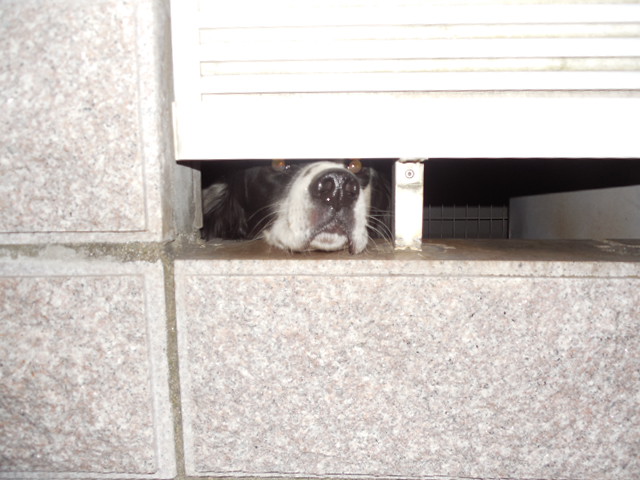 ブログ1・16 025.JPG