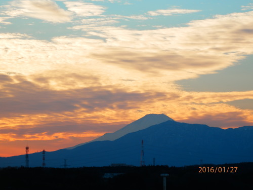 P1270017b20160127.jpg