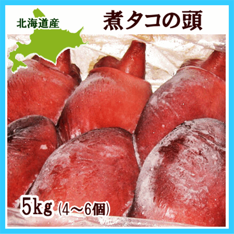 北海道 オホーツク産 煮タコ頭 5kg 4～6個