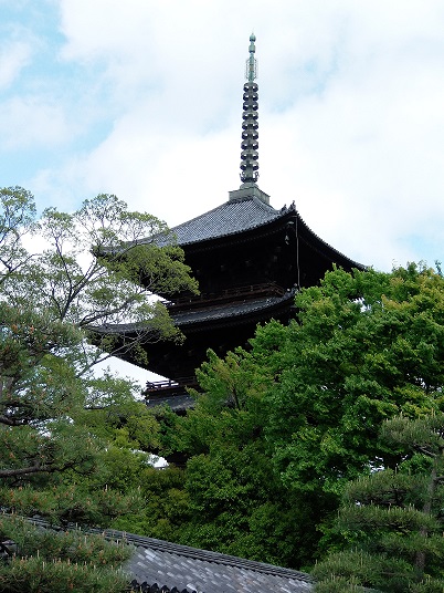 20130421_3.jpg