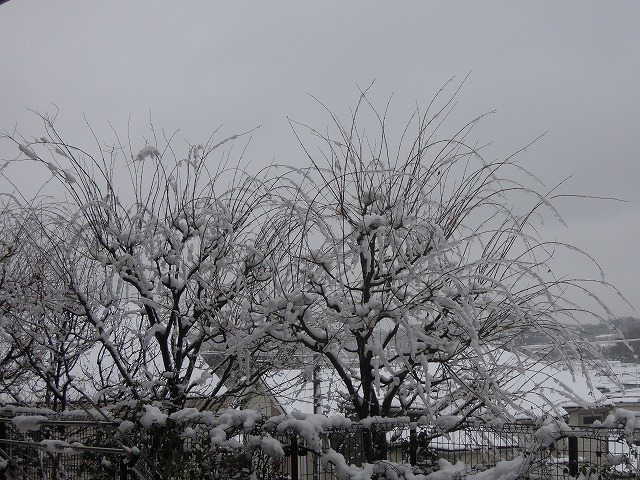DSCN7640.jpg