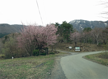 山形31.jpg