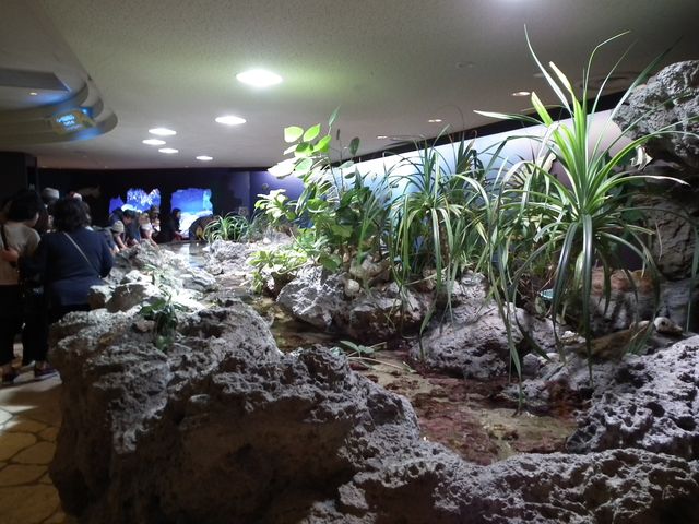DSCF9153.JPG