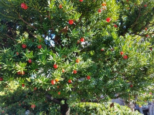 rblog-20181021190148-04.jpg