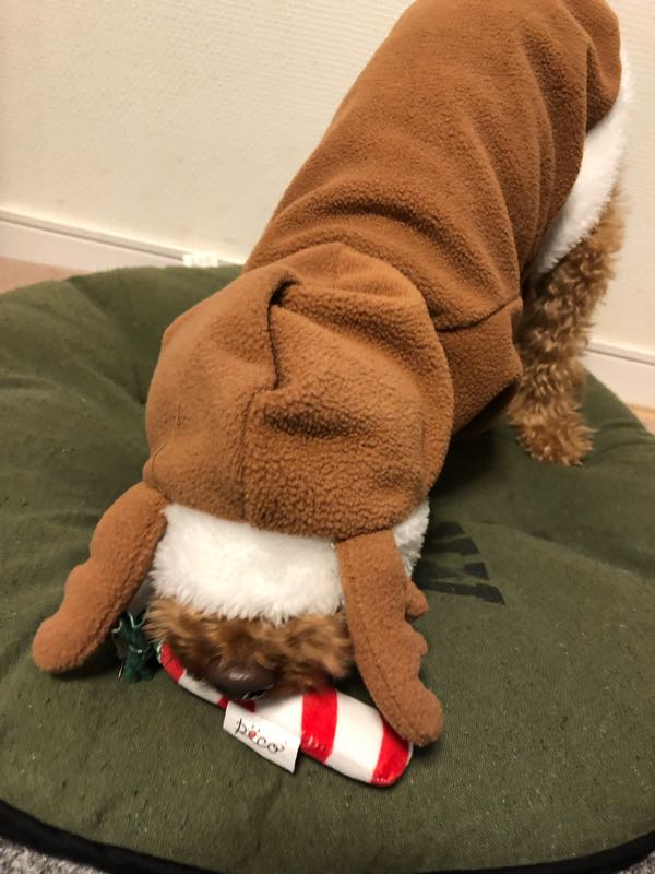 rblog-20181225075016-02.jpg