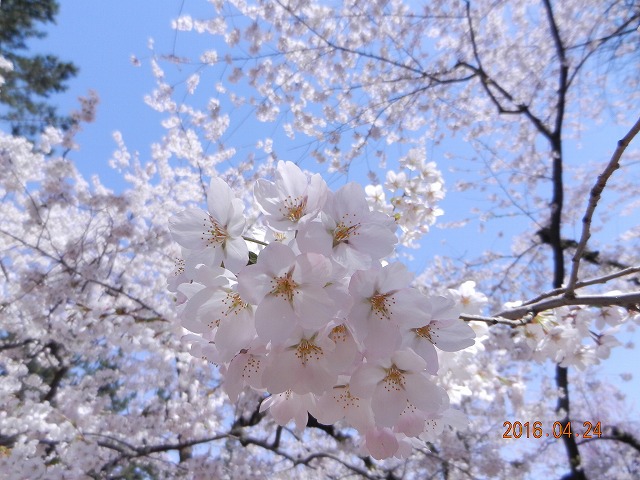 DSCN9869.jpg