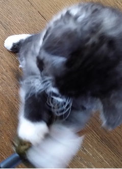 04-25-9