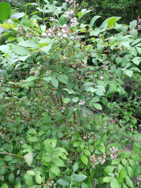120705_180608.jpg
