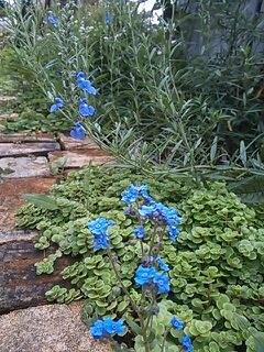 rblog-20140918230529-01.jpg