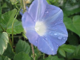 IMG_9681.JPG