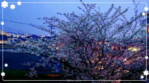 rblog-20160410220637-06.jpg