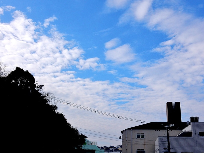 空3.JPG