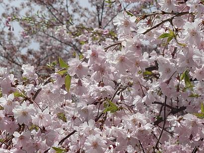 img_1746885_64362035_9.jpg