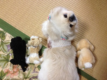 20130319-2.jpg