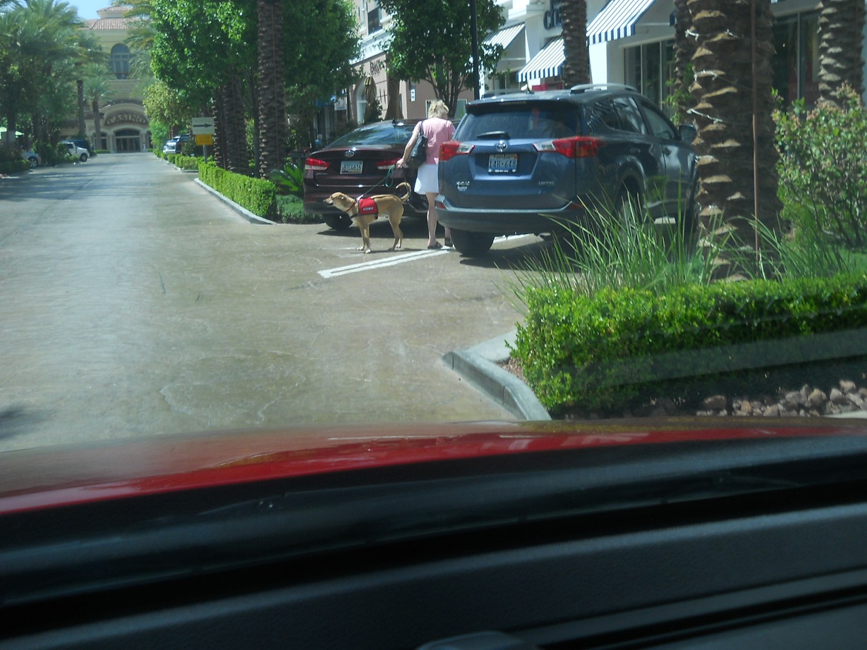 DSCN9015.JPG