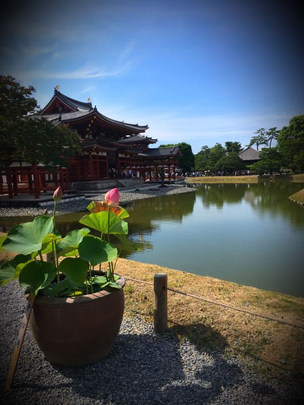 rblog-20170627120011-05.jpg
