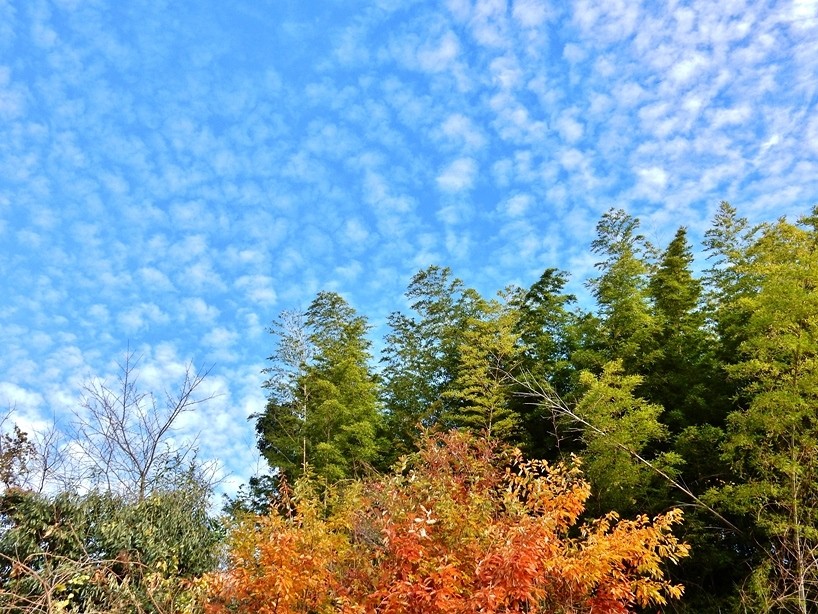 空 8.JPG