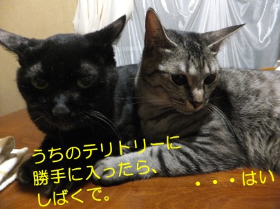 20120903_5.jpg