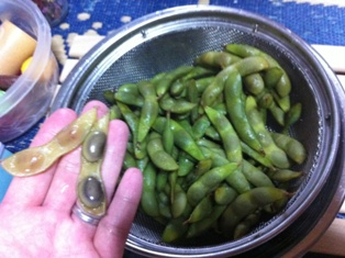 枝豆